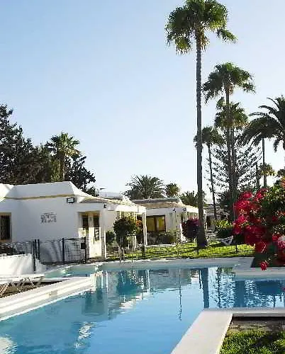 Tajaraste Playa del Ingles (Gran Canaria)