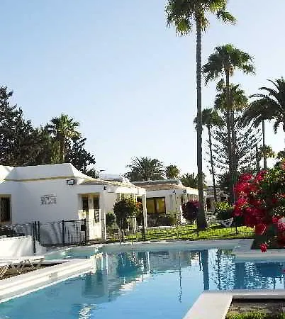 Tajaraste Playa del Ingles (Gran Canaria)